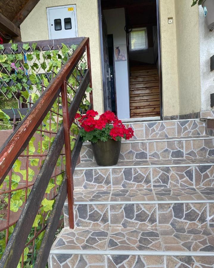 Vidikovac Bijelo Polje Exterior foto